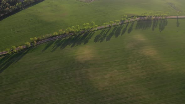 Aerial View of a Green Field and a Road 