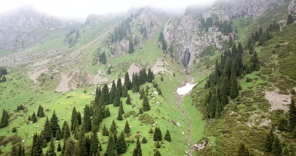 Green Gorge with Forest in the Mountains