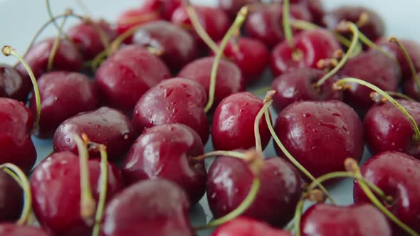 Red Fresh Ripe Ukrainian Cherries on a Blue Plate