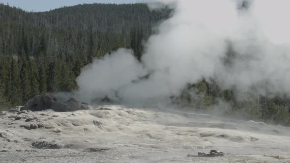 Steam vent at Yellowstone National Park