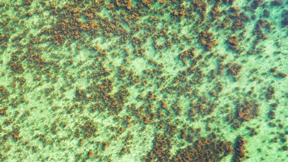 Luxury aerial copy space shot of a summer white paradise sand beach and turquoise sea background in 