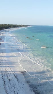 Vertical Video of the Beach on Zanzibar Island Tanzania