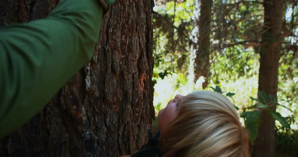 Father and son touching tree trunk in the park