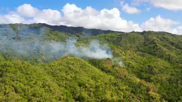 Forest Fire in the Rainforest