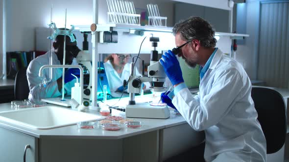 Mature Scientist Using Microscope to Examine Lab Meat