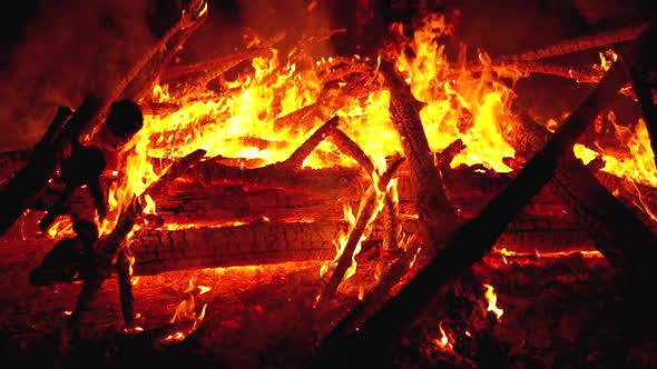 Big Campfire of the Logs Burns at Night in the Forest. Slow Motion