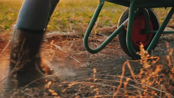 Farmer Rolls a Wheelbarrow in the Field, Legs Close-up