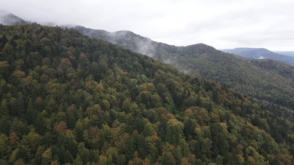 Aerial View of the Carpathian Mountains in Autumn. Ukraine