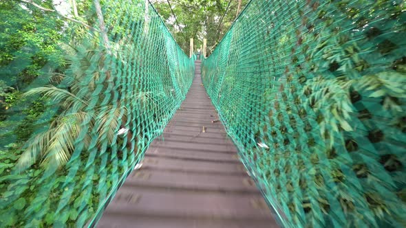 Walk at wooden canopy.