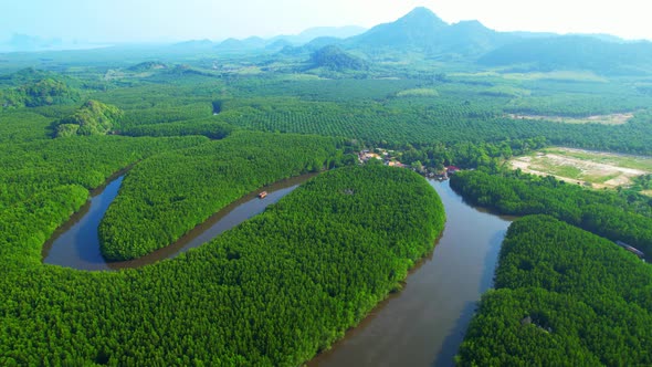 Top view of winding river in tropical mangrove green tree forest in khao jom pa