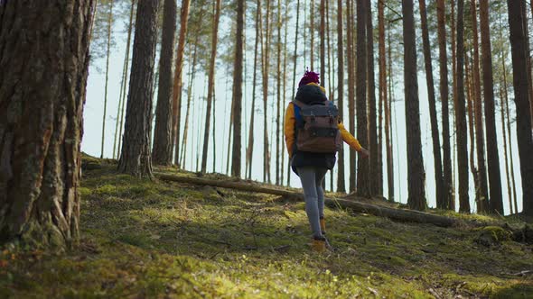 Euphoric Pretty Woman with Tourist Backpack Walking Alone Through Summer Forest Wild Nature Enjoying / Videohive