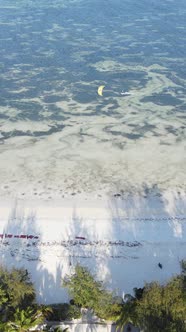 Vertical Video of the Ocean Near the Coast of Zanzibar Tanzania