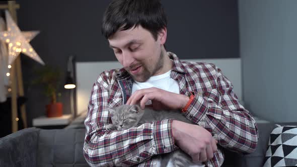 Caucasian Male Holds Small Cute Gray Scottish Straight Kitten in Arms That Falls Asleep at Home on