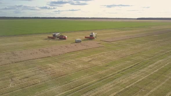 Aerial View Harvesters Truck and Minivan Stand on Field