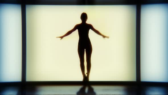 Silhouette Of A Dancing Ballet