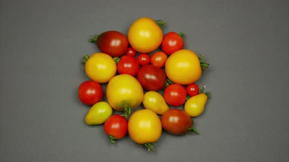 Circle of Tomatoes. Stop Motion Animation Tomatoes Moving in Different Directions