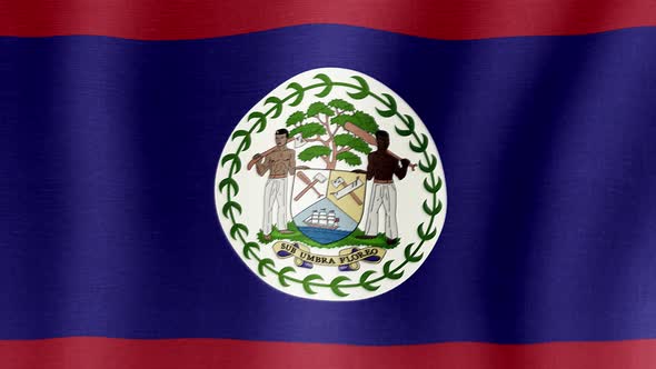 The National Flag of Belize alt