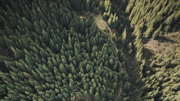 Aerial Green Mountain Top Down