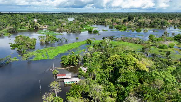 Stunning landscape of Amazon Forest at Amazonas State Brazil.