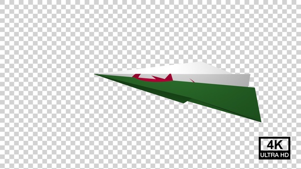 Paper Airplane Of Algeria Flag