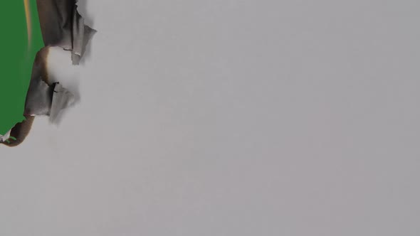 Flame Burns an White Blank Sheet of Paper on a Green Screen Chroma Key alt