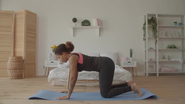 Graceful Fitness Woman Doing Cat Cow Pose Indoors