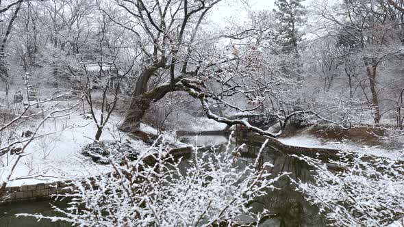 Changdeokgung Palace Secret Garden in winter Seoul  South Korea 