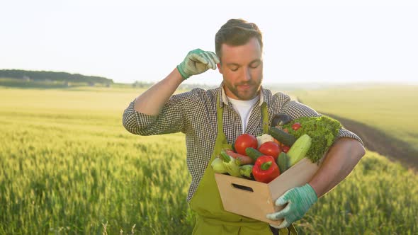 Happy Farmer Holding Basket with Fresh Harvested Vegetables and Smiling in Camera on Countryside