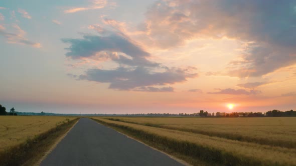 Wheat Field Near the Street at Sunset