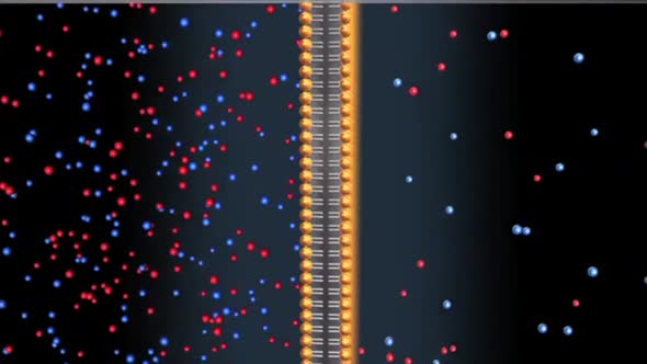 cell transports sodium Potassium ions to exterior of cell releasing 2 potassium