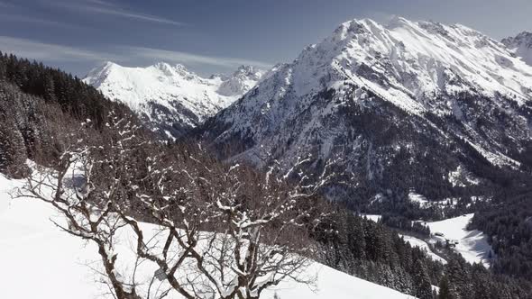 Aerial drone shot of of beautiful winter landscape with mountains, snow and sun. Tree is in the fore