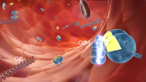 Pancreatic -Cell Electrical Activity and Insulin Secretion