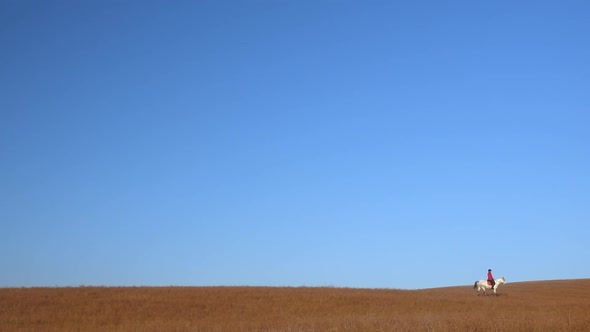 Girl Riding a Horse Strokes a White Horse Standing in a Field