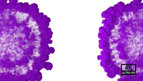 Purple Color Powder Explosion From Left And Right Side 4K