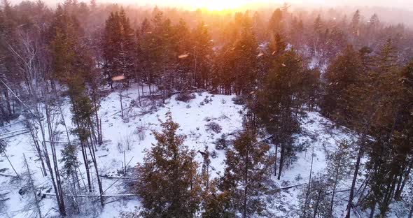 Snowing in the forest while seeing the sunset