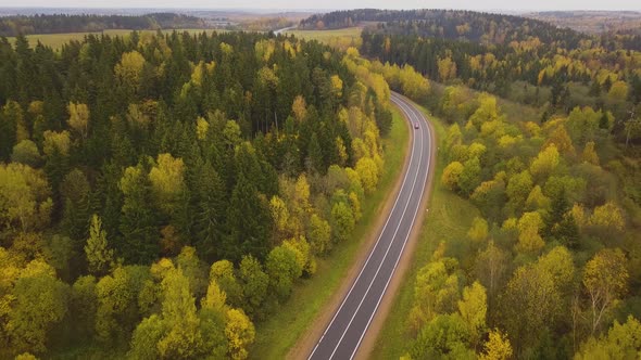 Aerial Following Shot of Cars Driving Along Winding Country Road Through Autumn Forest. Fall Season