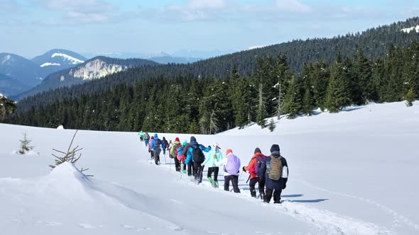 Hiking tour in the winter Carpathians, Romania. A group of people with backpacks and ski poles climb