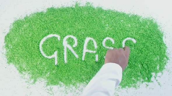 Green Writing   Grass 