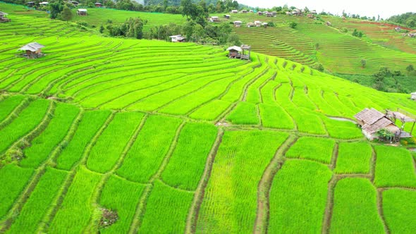 Drone flying over green rice terraces field in countryside