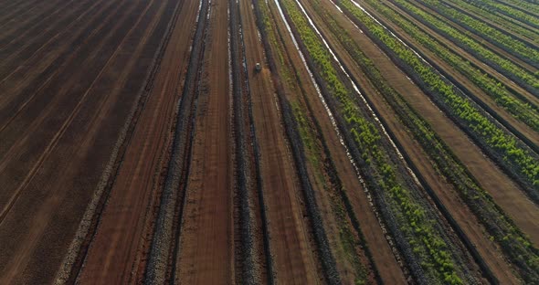 Peat Production in Harvesting Field Aerial View at Sunset