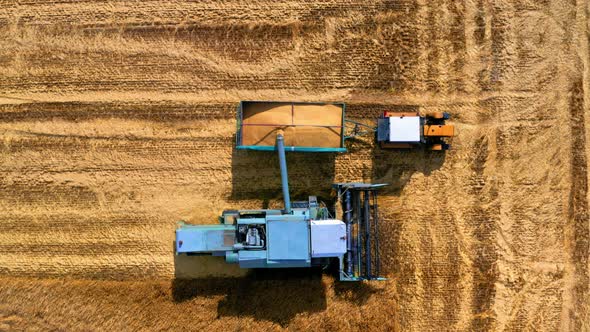 Combine harvesting golden ripe wheat field, aerial view of Poland