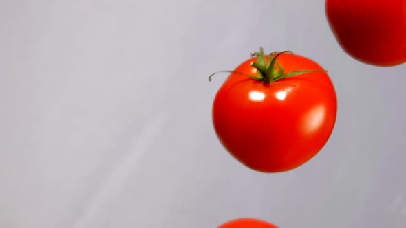 Tomatoes Are Falling Down on on a White Background