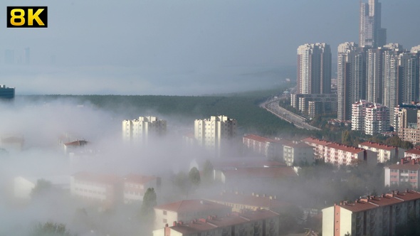 Fog in the Urban City