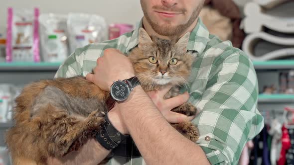 Adorable Fluffy Cat in the Arms of Its Owner at the Veterinary Clinic