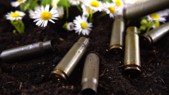 Bullet casings fall to the ground and chamomile flowers. Slow motion.