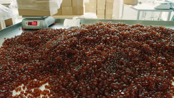 Racks with Trays of Jelly Candies in the Factory Candies Candy Factory