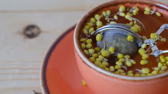 brewing herbal tea in a cup	