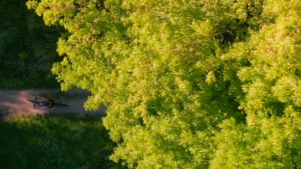 Aerial Shot of Young Sport Woman Rides Bicycle on Forest Road at Summer Sunset. Happy Holiday or