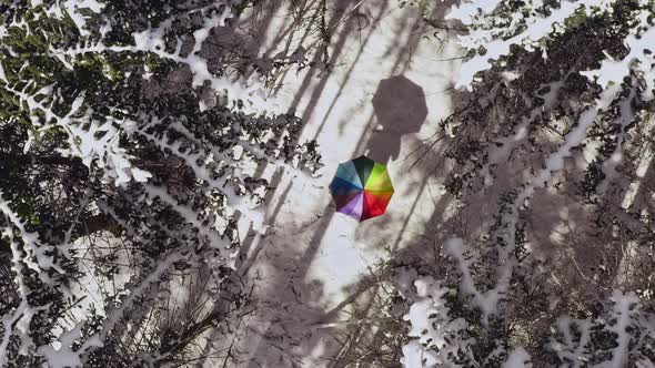 Slow aerial rising shot looking down at a rainbow colored umbrella in a white winter landscape of a