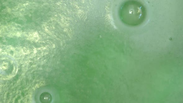 Foamy green bubbles fizzing and popping